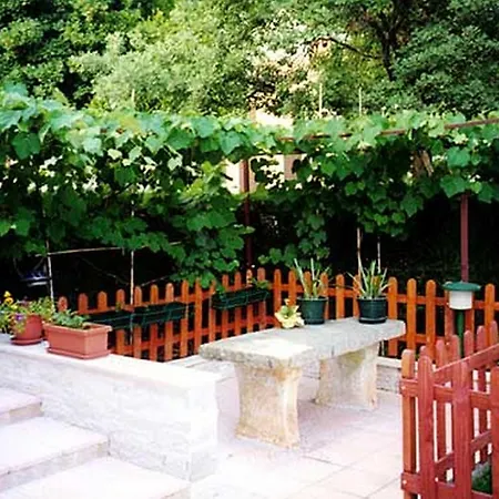 Apartment Felix Porec